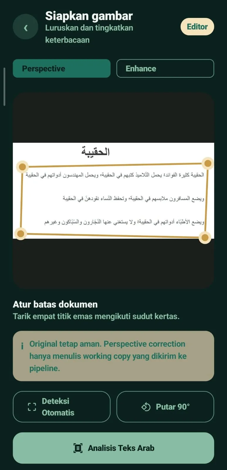 Preview with perspective correction