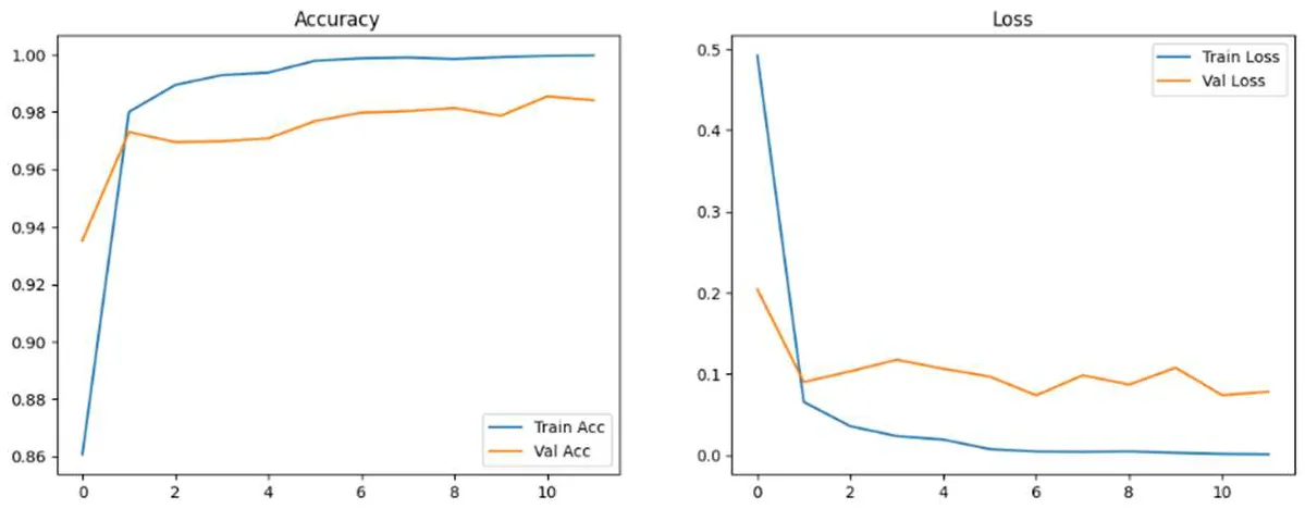 Validation accuracy & loss curves during training.